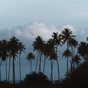 Meet your Posher, Rebekah